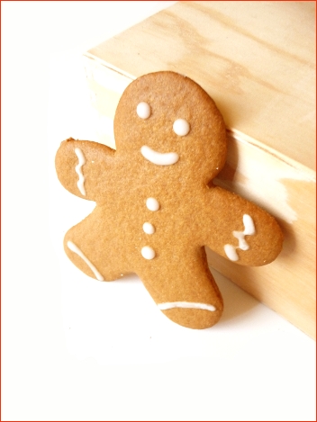 gingerbreadman1