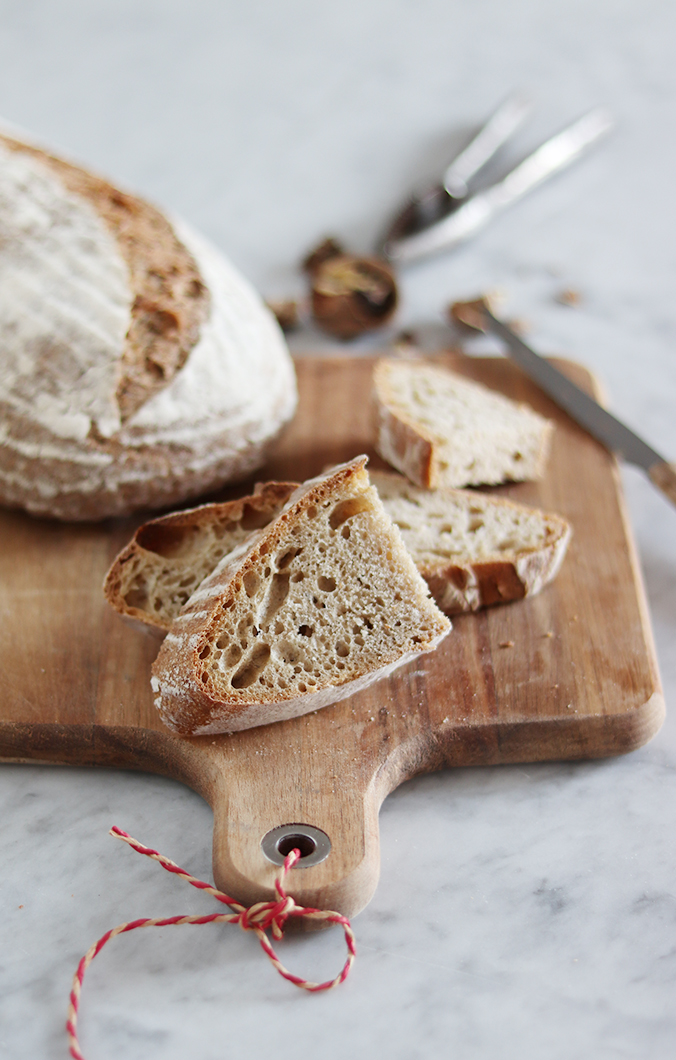 pane e grani antichi